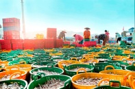 Doanh nghiệp vẫn tiếp tục đăng ký mới, dù chậm lại