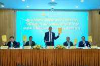 Vietnam Airlines ước lãi kỷ lục; Dabaco lập công ty con; Nhà máy VinFast Hà Tĩnh khánh thành