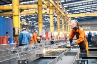 80,8% doanh nghiệp chọn tin tưởng và kỳ vọng vào quý III/2025 