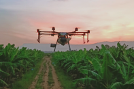 Lọc hóa dầu Bình Sơn muốn đổi tên; Thaco Agri báo lãi; Nhà Thủ Đức bán... thực phẩm