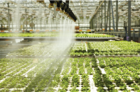 10 tháng, trên 5 triệu tỷ đồng vốn bổ sung vào nền kinh tế