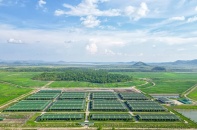 Thaco Agri xin loạt cơ chế đặc thù; Vosco đi bán than; Vingroup xây bến cảng quốc tế