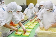 Doanh nghiệp kiến nghị tạm ngưng hiệu lực Nghị định 46, đợi ban hành Luật An toàn thực phẩm