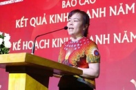 Cựu Chủ tịch Vimedimex hầu tòa vụ đấu giá đất Đông Anh (Hà Nội)