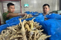 Hơn 10.000 tấn chân gà “bẩn” tuồn ra thị trường