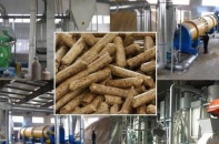 Bình Định có thêm dự án sản xuất viên nén gỗ 115 tỷ đồng