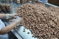 Quảng Nam: Thanh tra quản lý, sử dụng đất đối với dự án của Công ty Thượng Cao