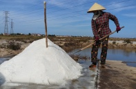 Quảng Bình chú trọng phát triển mô hình sản xuất muối sạch