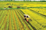 Hà Tĩnh đẩy mạnh liên kết, thu hút đầu tư trong lĩnh vực nông nghiệp 