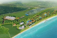 Ninh Thuận “chốt” tiến độ dự án trang trại - nhà máy rượu vang nho 250 tỷ đồng