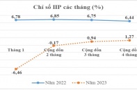 Bình Định chỉ số sản xuất công nghiệp trong 4 tháng có mức tăng trưởng thấp 