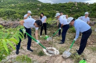 Ninh Thuận trồng mới hơn 1.120 ha rừng thay thế