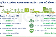 Trung Nam nghiên cứu phát triển tổ hợp năng lượng và khu công nghiệp xanh tại Ninh Thuận