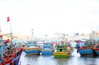 Bình Định di dời toàn bộ tàu cá neo đậu tại cảng Quy Nhơn về đầm Đề Gi