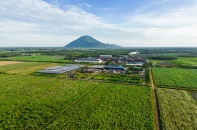 TTC Agris đề xuất mô hình Demofarm nông nghiệp công nghệ cao gắn với mía tại Gia Lai