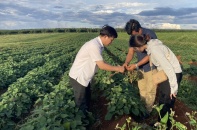 Loạt dự án nông nghiệp gặp vướng mắc, lãnh đạo tỉnh Gia Lai chỉ đạo tháo gỡ