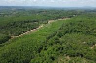 Chủ tịch tỉnh Gia Lai nêu 6 nguyên tắc trong chuyển đổi diện tích trồng cây cao su