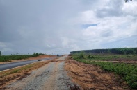 Gia Lai chuyển đổi gần 9 ha rừng để thực hiện Dự án Trạm dừng nghỉ cao tốc Bắc - Nam