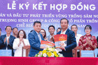 Trường Sinh Group bắt tay doanh nghiệp trồng sâm phát triển vùng trồng Sâm Ngọc Linh