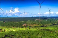 Gia Lai tìm nhà đầu tư Dự án Nhà máy điện gió Bờ Ngoong công suất 100 MW
