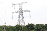 EVNNPT được phê duyệt dự án đường dây 500 kV dài gần 188 km tại tỉnh Gia Lai