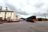 Kinh tế tỉnh Gia Lai ghi nhận nhiều tín hiệu khởi sắc trong tháng đầu năm 2026