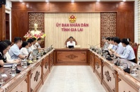 Dược phẩm Đông Á đề xuất dự án nông nghiệp kết hợp với du lịch tại Gia Lai