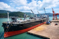 Loạt giải pháp trong hoạt động khai thác nguồn hàng và logistics tại Cảng Quy Nhơn