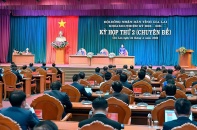 Gia Lai miễn tiền thuê đất đối với dự án xã hội hóa tại một số địa bàn