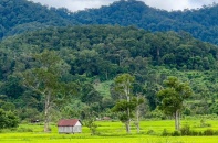 Xúc tiến đầu tư nhiều điểm du lịch mới, hấp dẫn tại tỉnh Gia Lai