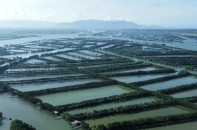 Gia Lai: Một doanh nghiệp bị chấm dứt hoạt động 4 dự án vì chậm tiến độ