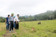 Gia Lai phát triển du lịch sinh thái, nghỉ dưỡng, giải trí dưới tán rừng