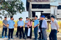 Gia Lai phê duyệt dự án chăn nuôi khép kín hơn 106 ha, vốn đầu tư 3.100 tỷ đồng
