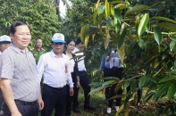Gia Lai tăng tốc số hóa mã số vùng trồng, mở rộng cửa xuất khẩu nông sản