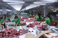 Long An thu hút nhiều dự án đầu tư mới trong khu công nghiệp