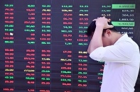Cổ phiếu họ Louis tụt dốc sau một năm đạt đỉnh