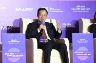 Cần xây dựng mạng lưới và lựa chọn nhà tư vấn M&A tốt