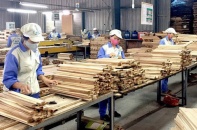 TP.HCM: Doanh nghiệp ngành gỗ chủ động chuyển hướng và nâng sức cạnh tranh