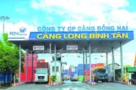 Cảng Đồng Nai (PDN) lý giải lợi nhuận quý IV/2025 tăng gần 20%