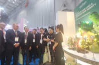 Cuộc cạnh tranh mới trên thị trường làm đẹp Việt Nam