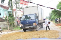 Nghệ An: Dịch tả lợn châu Phi vẫn lan rộng