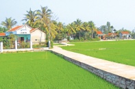 Tây Hòa - huyện đầu tiên của Phú Yên đạt chuẩn nông thôn mới