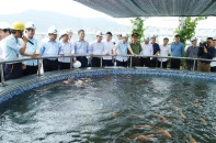 FHS xác nhận hoàn thành công trình bảo vệ môi trường