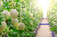 Khu Nông nghiệp Ứng dụng công cao nghệ Phú Yên sẵn sàng đón dòng vốn đầu tư mới