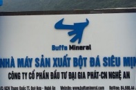 Đình chỉ hoạt động 6 tháng một công ty sản xuất bột đá thiếu đánh giá tác động môi trường