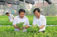Thêm một dự án nông nghiệp công nghệ cao “khủng” dự kiến đầu tư vào Quảng Trị