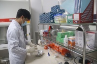 Viện Pasteur Nha Trang ngừng nhận mẫu xét nghiệm, Khánh Hòa gặp khó
