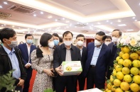 Hà Tĩnh quảng bá thương hiệu, kết nối tiêu thụ đặc sản cam