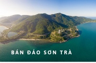 Phải nâng chất lượng hoạt động du lịch ở bán đảo Sơn Trà