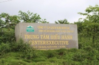 Tái cơ cấu dự án chăn nuôi bò Bình Hà từ 5.000 tỷ xuống còn 1.800 tỷ đồng